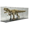 Display case for (76968) LEGO® Dinosaur Fossils: Tyrannosaurus Rex