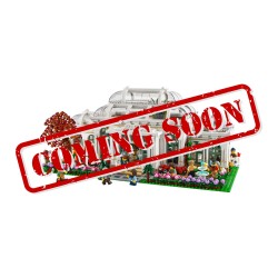 Display Case for (21353) LEGO Ideas: The Botanical Garden