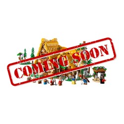 Display case for (43242) LEGO® Disney: Snow White and the Seven Dwarfs' Cottage