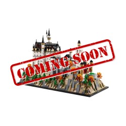 Display Case for (21063) LEGO® Architecture: Neuschwanstein Castle