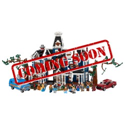 Display case for (11370) LEGO® ICONS - Stranger Things: The Creel House