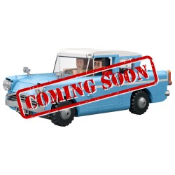 Display case for (76470) LEGO® Harry Potter: Enchanted Flying Ford Anglia™