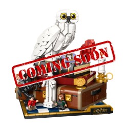 DISPLAY CASE FOR (76466) LEGO® Harry Potter: Sorcerer's Stone - Collectors' Edition