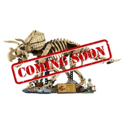 Display case for (77985) LEGO® Dinosaur Fossils: Triceratops